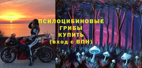 2c-b Надым