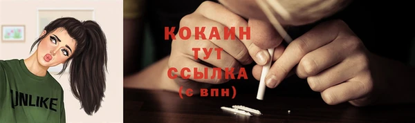 2c-b Надым