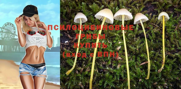 ГАЛЛЮЦИНОГЕННЫЕ ГРИБЫ Навашино