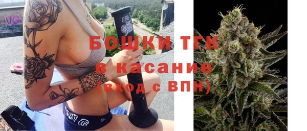 ГАЛЛЮЦИНОГЕННЫЕ ГРИБЫ Навашино