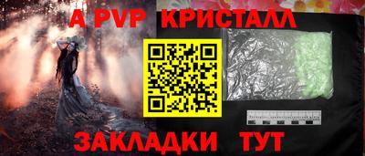 спиды Будённовск